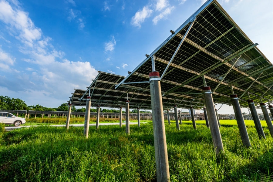 bifacial solar panels in the field
