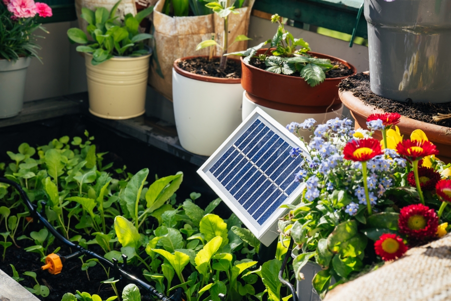 outdoor greenhouse with a solar panel installation