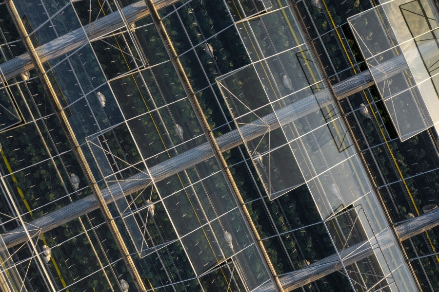 solar pro main clear solar panels installation see through solar installation on greenhouses